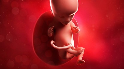 Heart diseases in children can start in pregnancy- Study