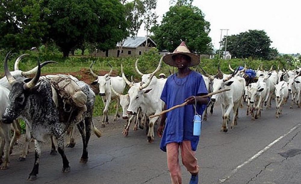 How Herders Killed 10, Kidnapped 25 Farmers, Others In Ibarapa – Group