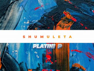 Platini P - Shumuleta