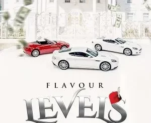 Flavour – Levels