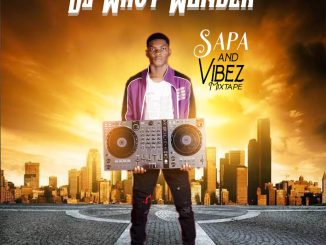 DJ Wavy Wonder - Sapa & VIbez Mix