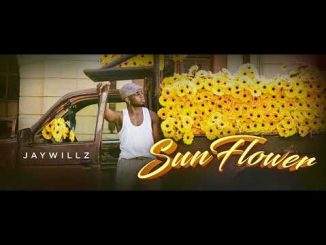 Jaywillz – Sunflower (EP)