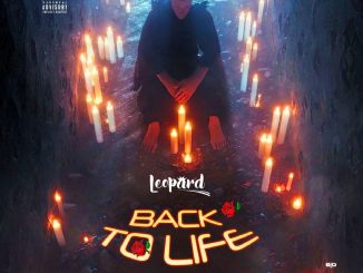Leopard - Back to Life