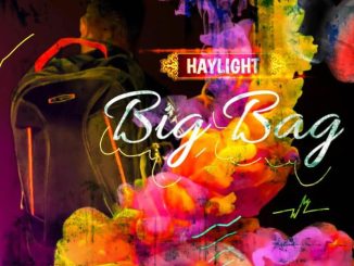 HayLight - Big Bag