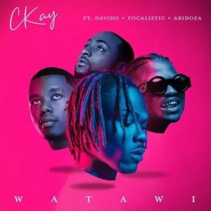 CKay – Watawi Ft. Davido