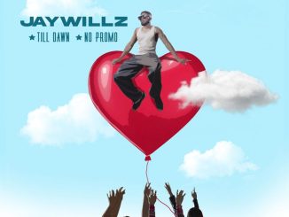 Jaywillz – No Promo