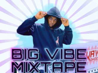 DJ Wavy Wonder - Big Vibe Mixtape