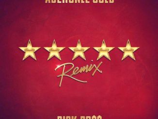 Adekunle Gold – 5 Star (Remix)