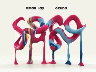 Omah Lay – Soso (remix) Ft. Ozuna