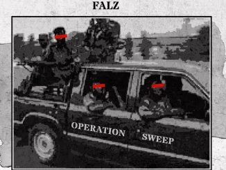 Falz – Operation Sweep