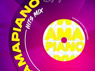 Dj Sjs Amapiano Mix 2024