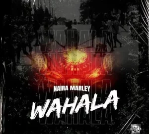 Naira Marley – Wahala