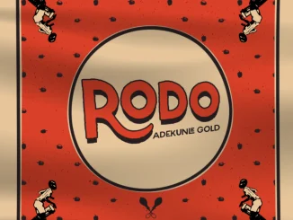 Adekunle Gold – Rodo