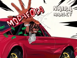 Naira Marley – Modafoka