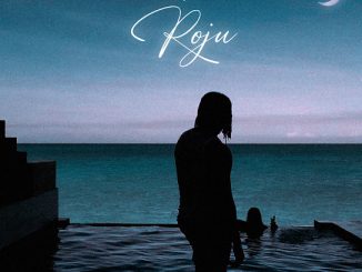 Crayon – Roju