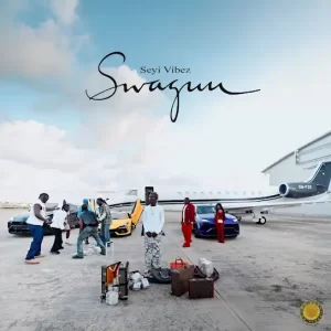 Download Music: Seyi Vibez – DIAMONDS
